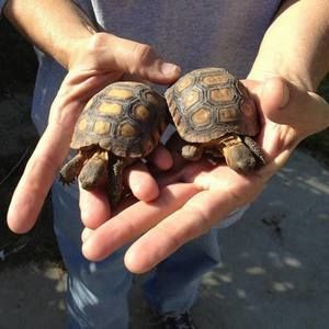 Meet your Posher, Christie